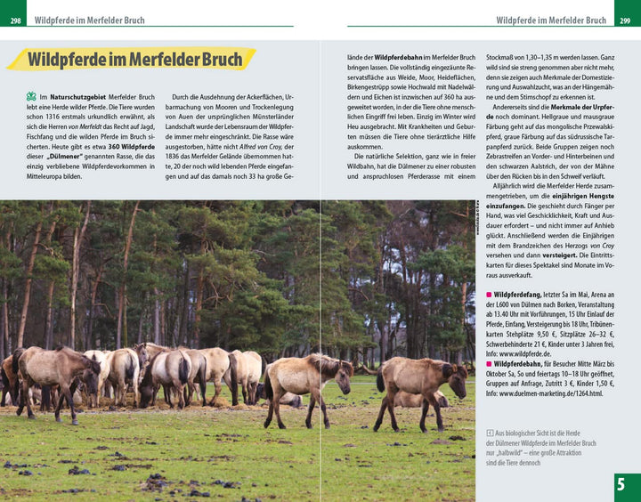 Reise Know-How Reiseführer Münsterland, Taschenbuch