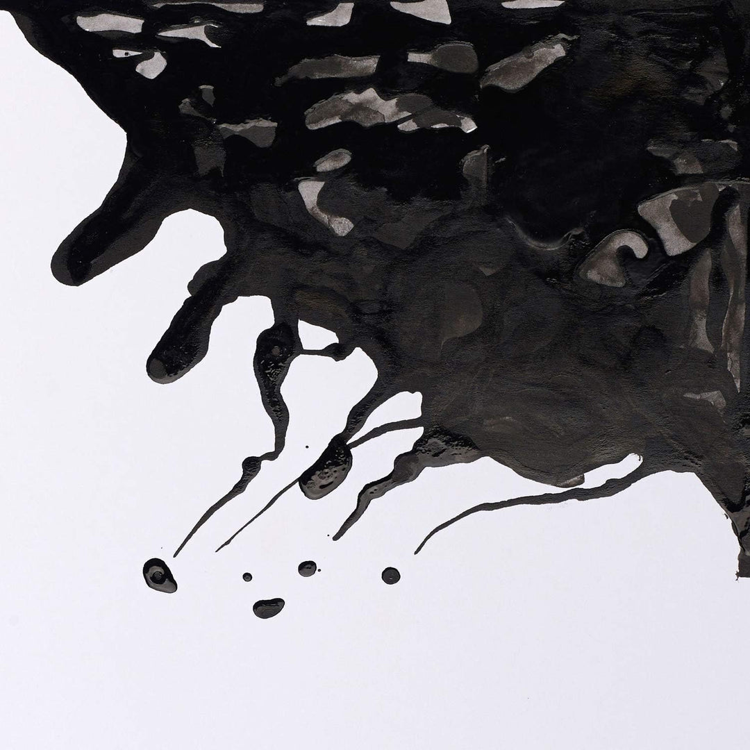 Winsor & Newton 1040030 Drawing Inks - Zeichentusche für Kalligraphen, Illustratoren, Grafikern, Kün