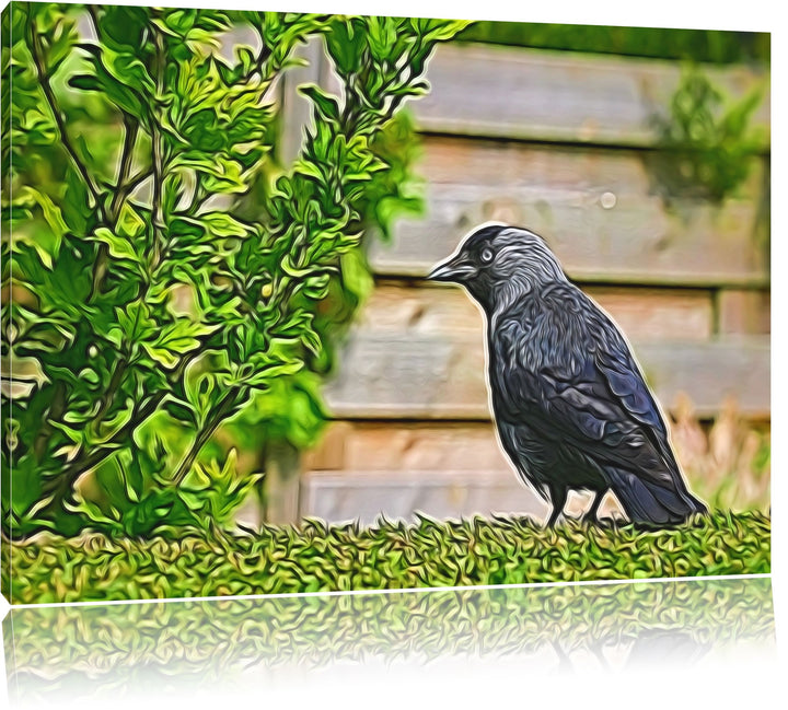 schöner schwarzer Vogel auf Gartenwiese NewArt Format: 100x70 cm auf Leinwand, XXL riesige Bilder fe