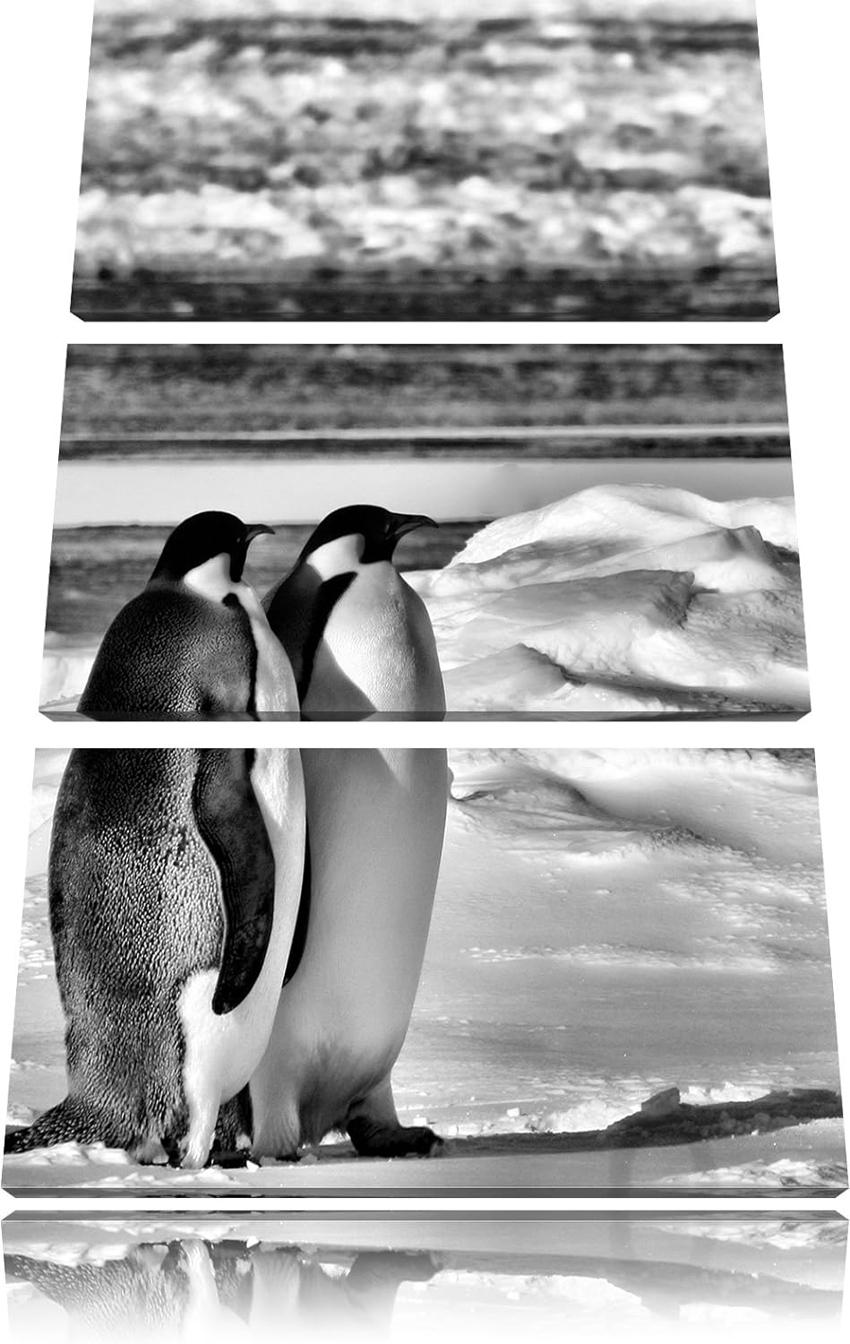 Pixxprint Monocrome, Zwei Kaiserpinguine auf Eisscholle 3-Teiler Leinwandbild 120x80 Bild auf Leinwa