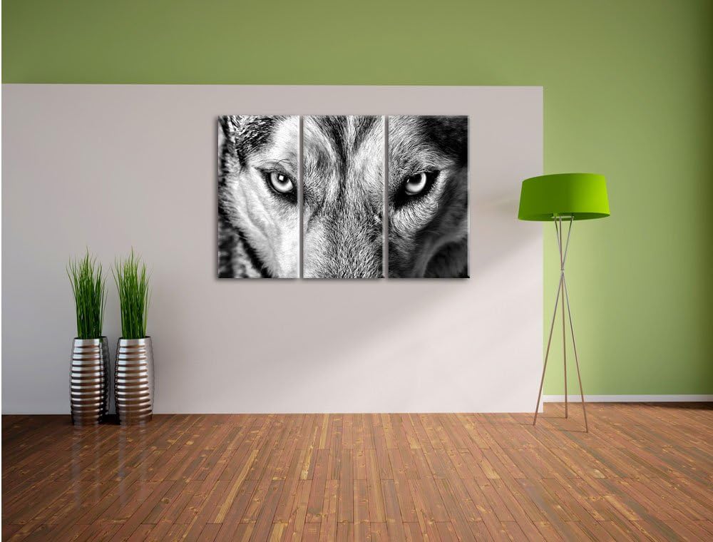 Pixxprint Husky eisblaue Augen als Leinwandbild/Grösse: 3 Teilig (120x80) cm/Wandbild/Kunstdruck/fer