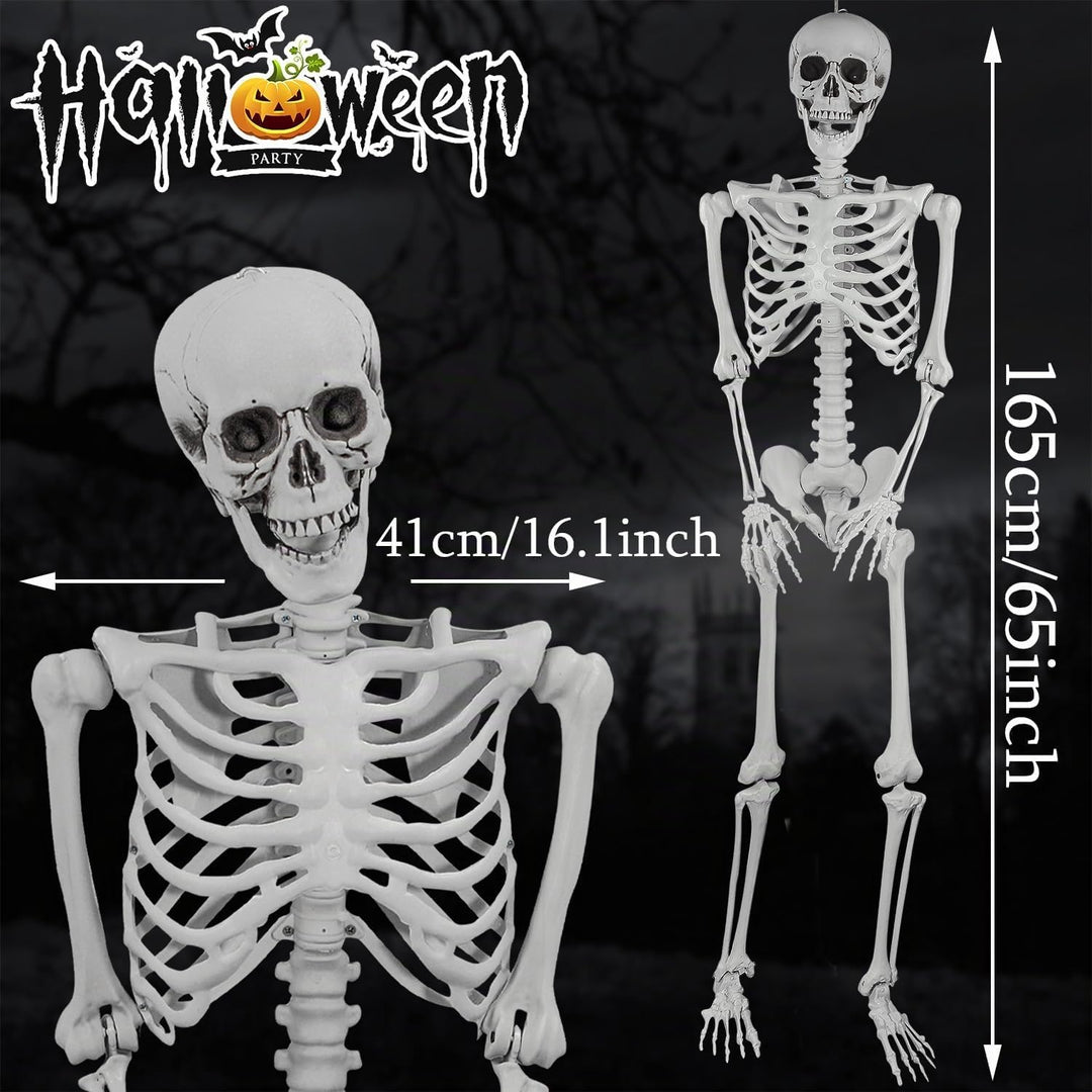 2 Stück Halloween Kunststoff Skelette Realistische Lebensgrösse menschliche Skelette mit beweglichen