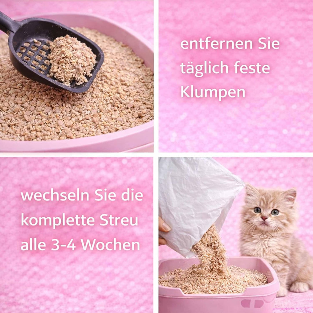 Bio-CATSIL 4x8 l Klumpstreu Katzenstreu klumpend kompostierbar 100% Pflanzenfasern