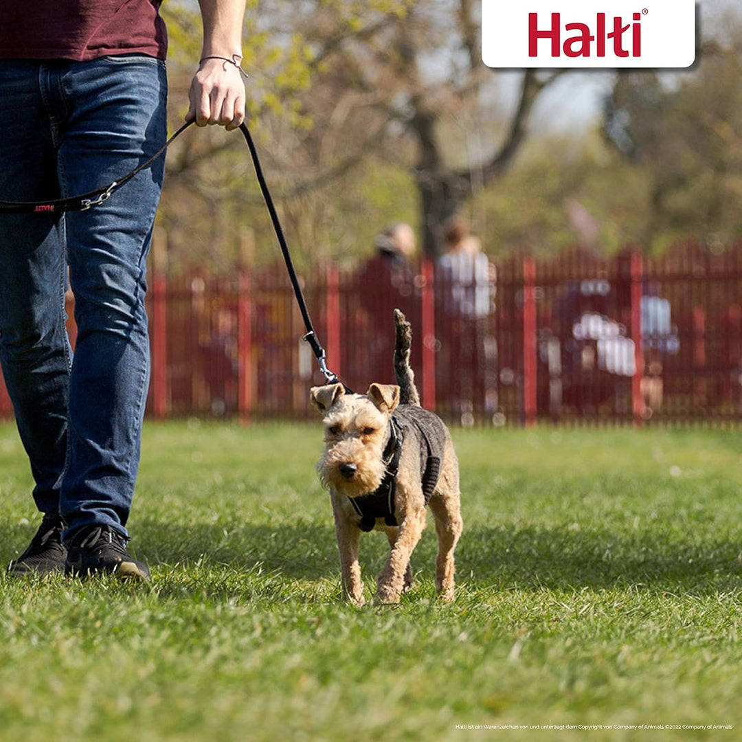 HALTI No Pull Anti-Zug Geschirr, Grösse Klein - Verhindert, dass Ihr Hund an der Leine zieht, Gepols