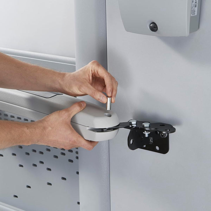 Somfy 1240653 - Drehtorantrieb Exavia Star RTS | für alle Hoftore mit einer Flügelbreite von max. 2,