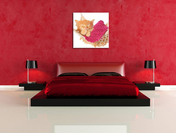 Pixxprint Katzenbaby in Hängematte als Leinwandbild Quadratisch/Grösse: 70x70 / Wandbild/Kunstdruck/