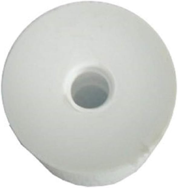lilawelt24 2X 5 L Glasballon + Gummistopfen+GÄRRÖHRCHEN, Gärballon mit Kunststoffkorb, Weinballon, F