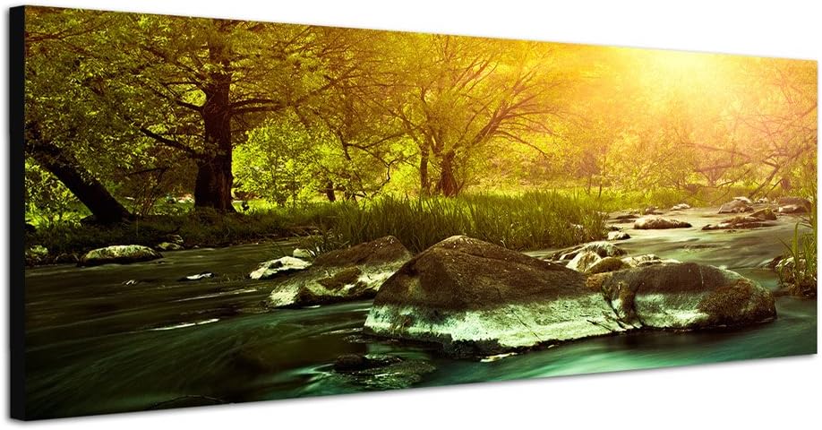 Paul Sinus Art Panoramabild auf Leinwand und Keilrahmen 120x40cm Wald Fluss Steine Sonnenuntergang