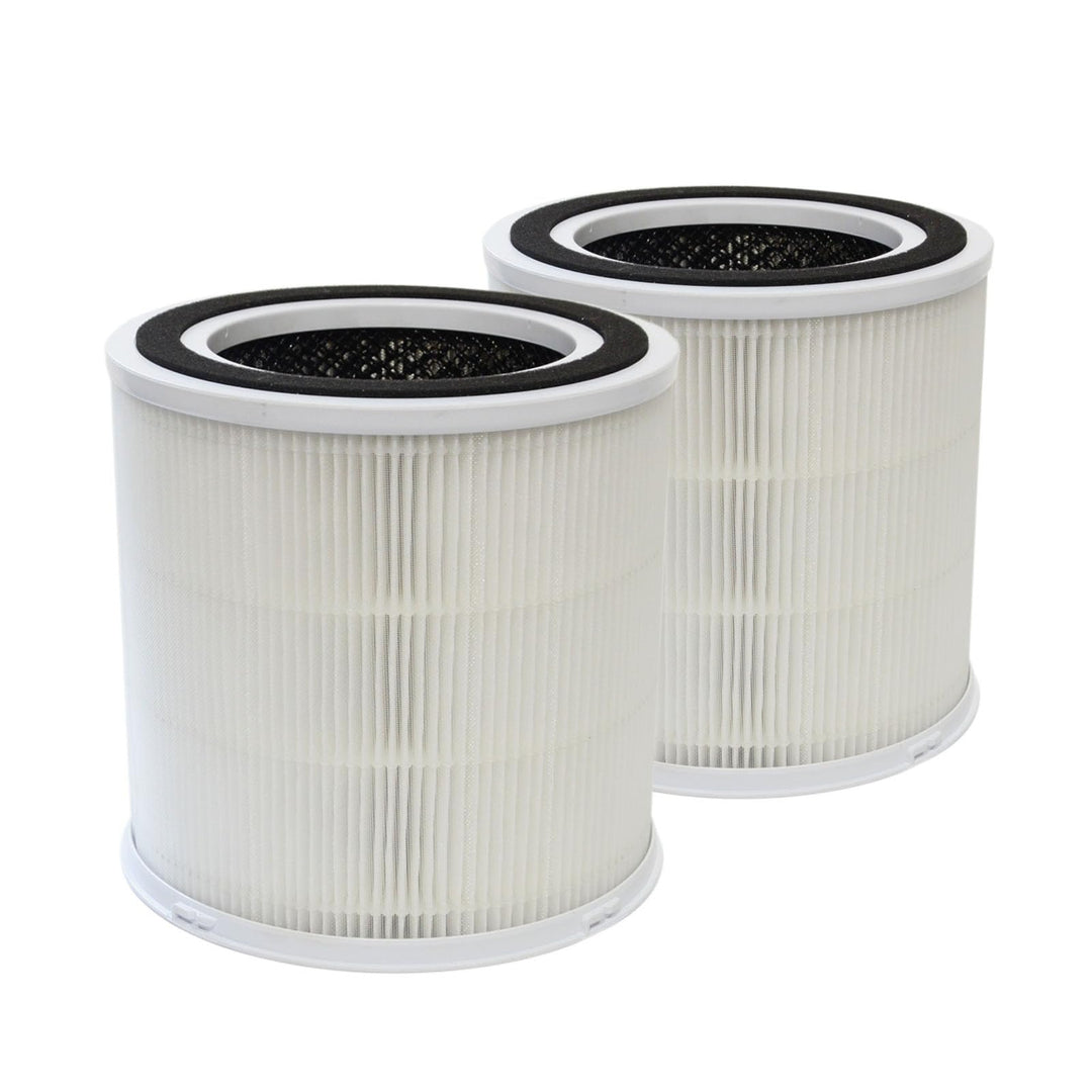 PUREBURG ErsatzFilter kompatibel mit FRESHDEW AP301 AP302 & Dayette AP301 & JOWSET AP301 AP302 AP303