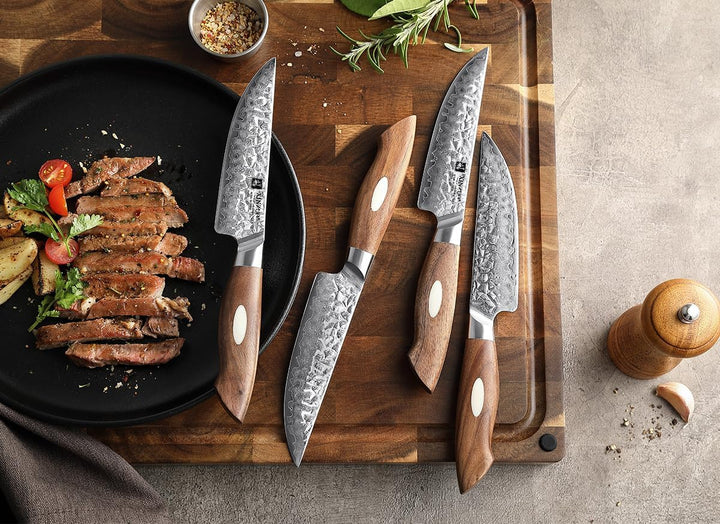 XINZUO 4-Teilig Steakmesser Set, 67 Schichten Damaststahl cm Besteckmesser, Japanischer AUS-10 Stahl