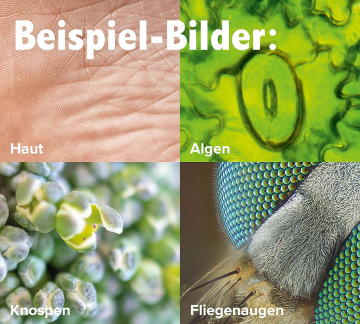 FRANZIS 67069 - GEOlino Das digitale Mikroskop - überall mit dabei, bis zu 500-fache Vergrösserung,