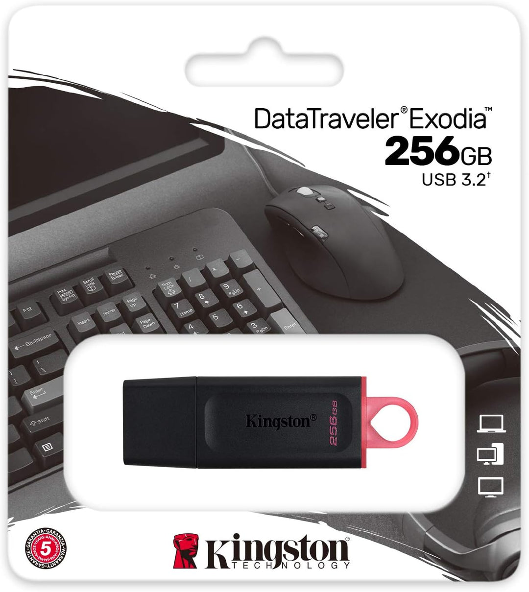 Kingston DataTraveler Exodia DTX/256GB USB-Stick 3.2 Gen 1 - mit Schutzkappe und Schlüsselring in me