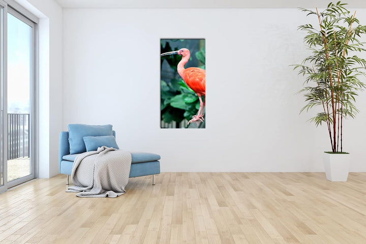 exotischer Vogel Panorama 60x30 cm als Leinwandbild, Motiv fertig gerahmt auf Echtholzrahmen, Hochwe