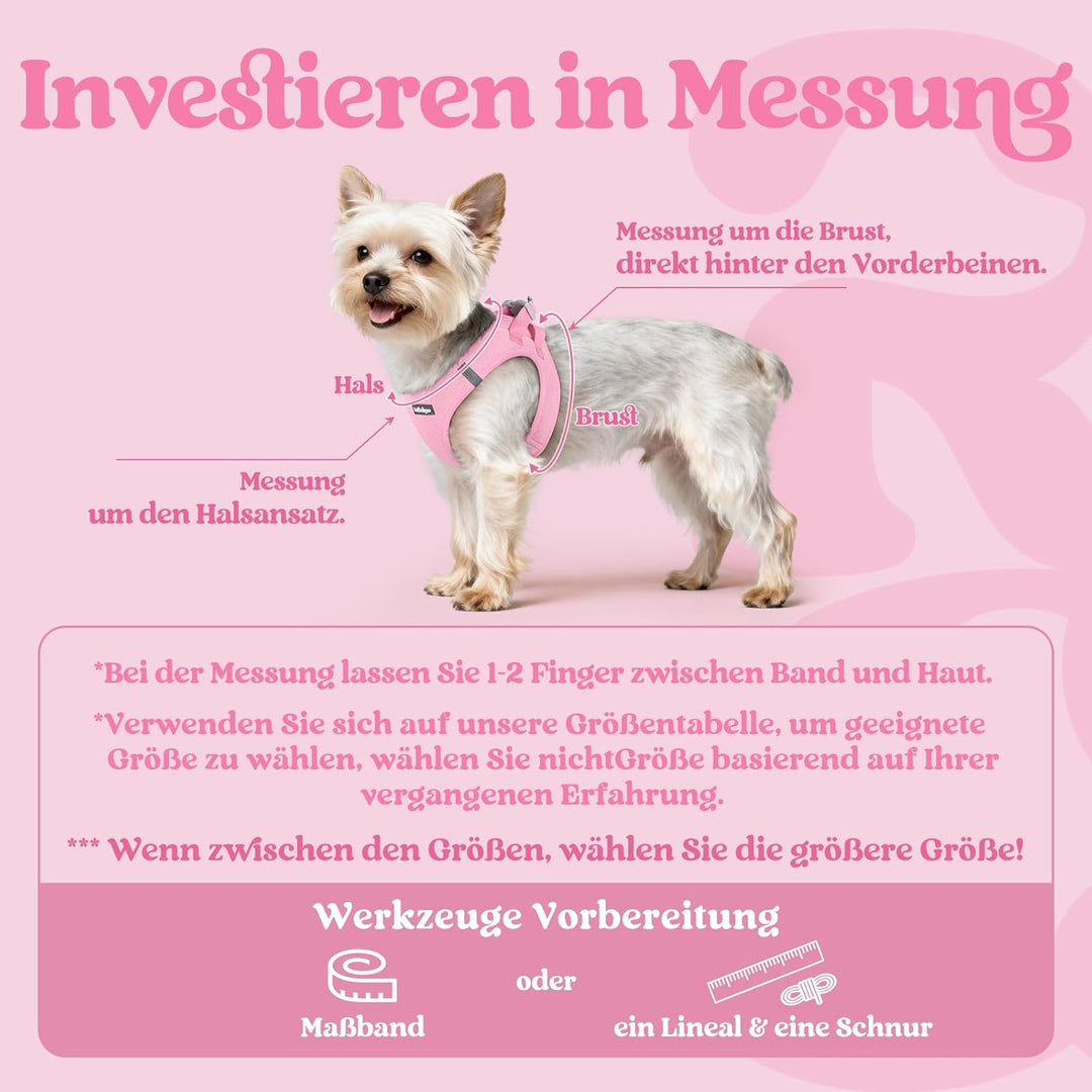rabbitgoo Hundegeschirr Kleine Hunde, Step-in Welpengeschirr Weich Mesh für Spaziergänge, Atmungsakt