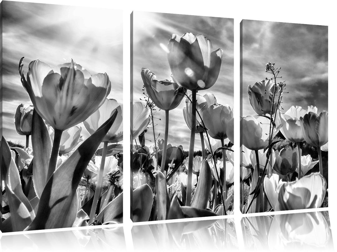 Pixxprint Blumenwiese als Leinwandbild/Grösse: 3 Teilig (120x80) / Wandbild/Kunstdruck/fertig bespan
