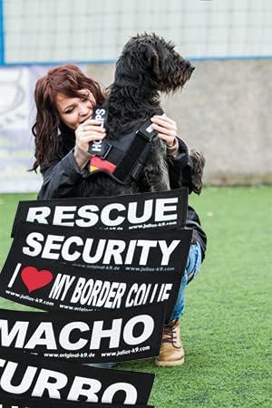 JULIUS K-9 IDC Powergeschirre Rot mit individuelle Klettaufschriften Bundle optionale Grösse, 16IDC+