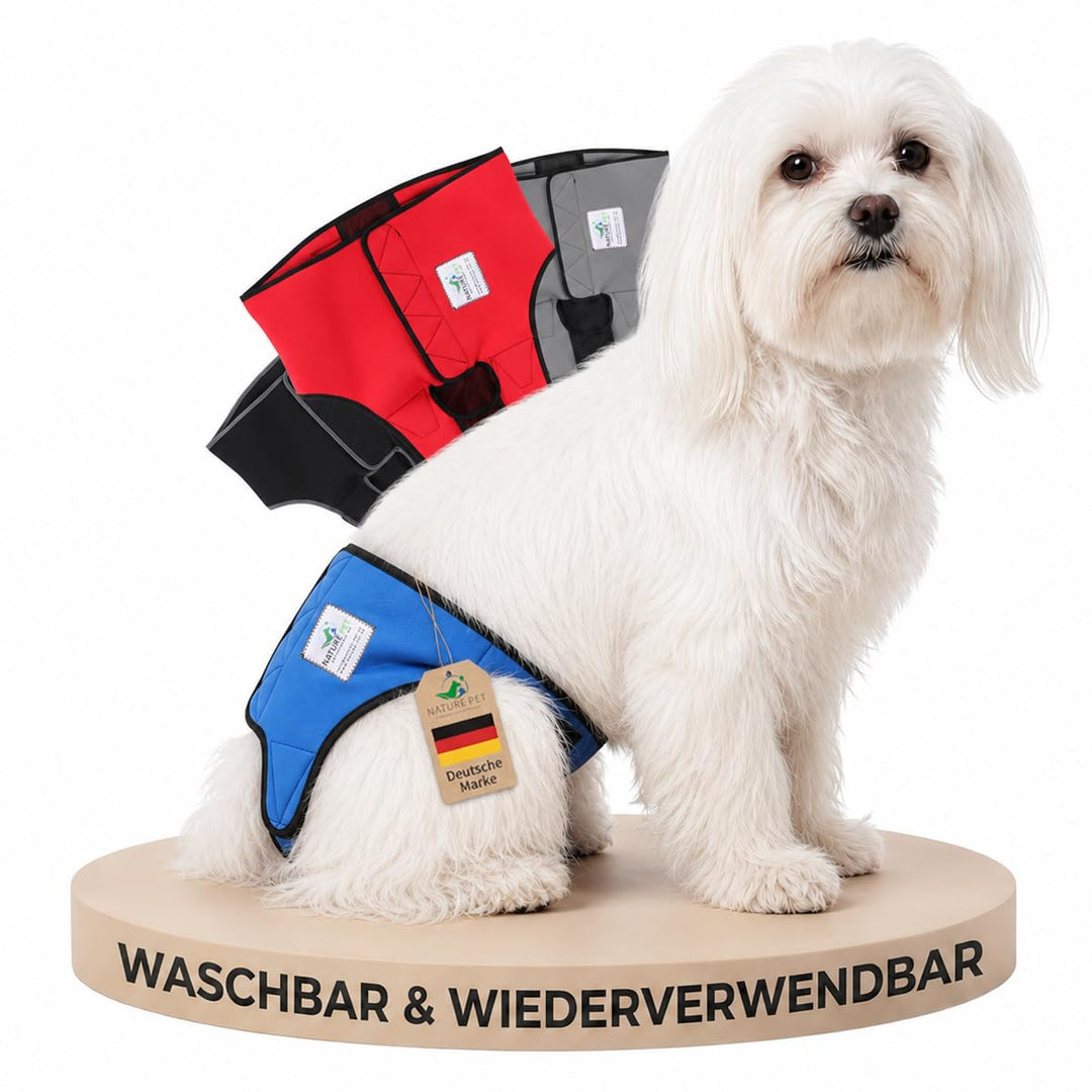 Läufigkeitshose für Hündinnen 2.0 - Hundewindeln aus hochwertigem perforiertem Neopren für einen opt