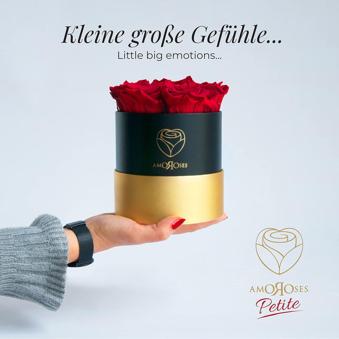 Amoroses Petite - Geschenkbox 5 ewige stabilisierte Rosen - Eleganter Strauss echter Blumen | Gesche