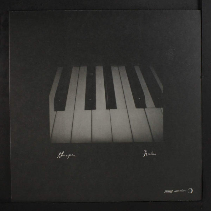 Ruins, Vinyl