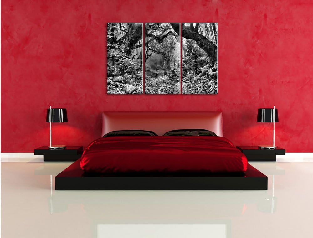 Pixxprint Mystischer Regenwald als Leinwandbild | Grösse: 3 Teilig (120x80) | Wandbild| Kunstdruck |