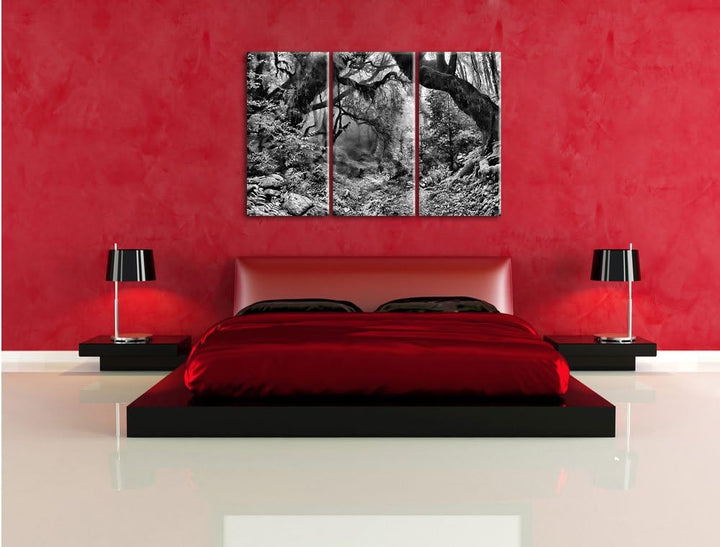 Pixxprint Mystischer Regenwald als Leinwandbild | Grösse: 3 Teilig (120x80) | Wandbild| Kunstdruck |