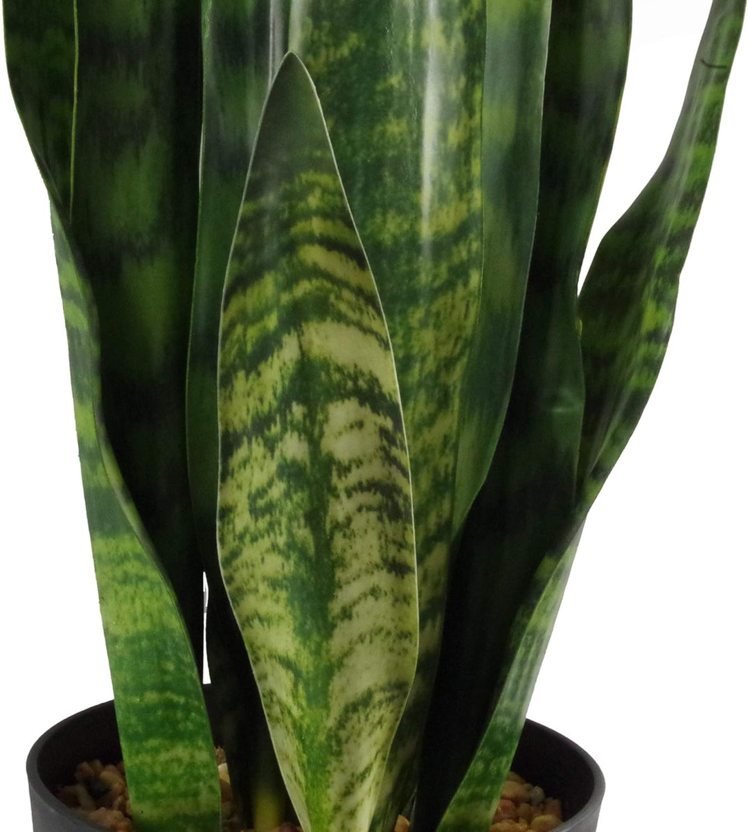 Leaf Kunstpflanze, Blätter, 70 cm, Kunststoff, Zeylanica Sansevieria Zeylanica Sansevieria 70 cm, Ze
