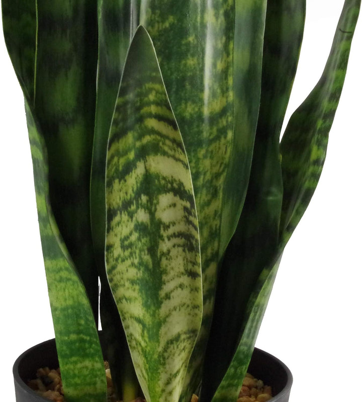Leaf Kunstpflanze, Blätter, 70 cm, Kunststoff, Zeylanica Sansevieria Zeylanica Sansevieria 70 cm, Ze