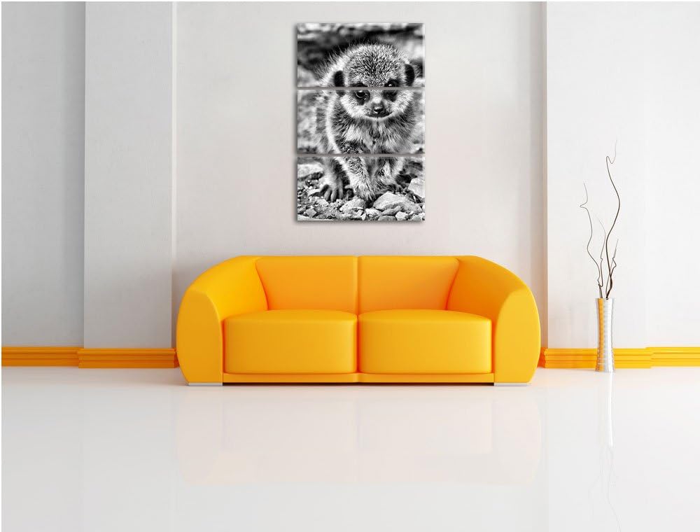 Pixxprint Monocrome, junges Erdmännchen zwischen Steinen 3-Teiler Leinwandbild 120x80 Bild auf Leinw