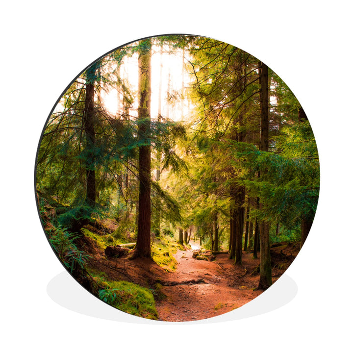 MuchoWow Wandbild Rund Wanddeko Deko Wohnzimmer Bilder 60x60 cm Wald - Weg - Bäume - Grün - Sonne -