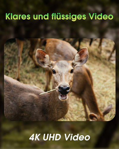 KJK Wildkamera WLAN 2.7K 64MP mit 64GB SD Karte, Wildtierkamera mit Nachtsicht, 0.05s Auslöser Beweg