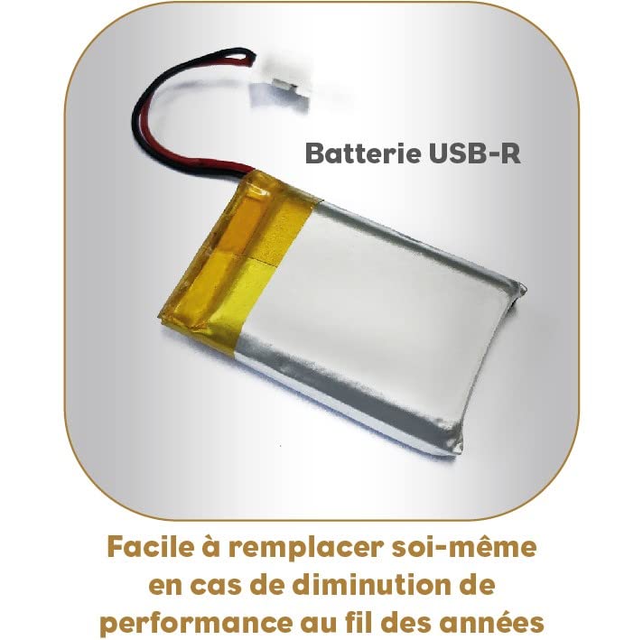 LTTLE BALANCE 8544 Slim Citron USB-R, Küchenwaage ohne Akku, USB wiederaufladbar, reparierbar, 5 kg,