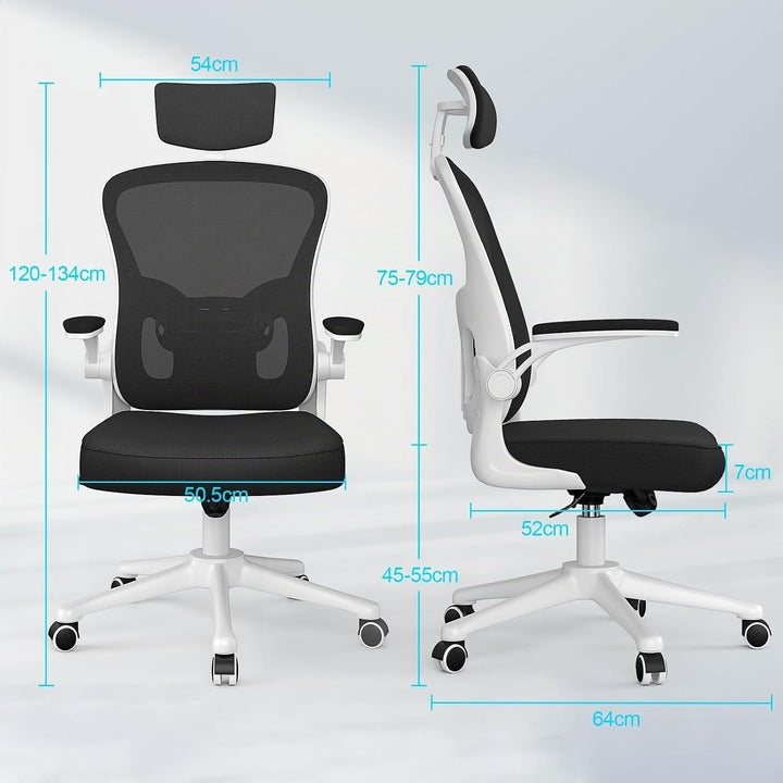 naspaluro Ergonomischer Bürostuhl mit Atmungsaktiver Netzbespannung, Schreibtischstuhl Verstellbarer