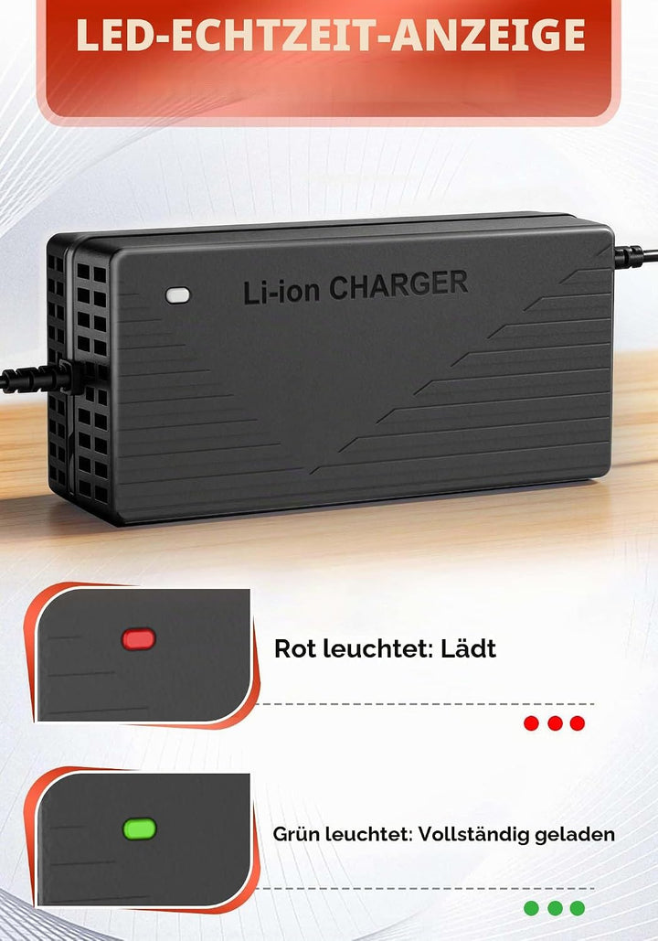 29,2V 10A Lithium Batterie Ladegerät für 24V(25,6) LiFePO4 Batterie, 24V AC-DC Lithium LiFePO4 Batte
