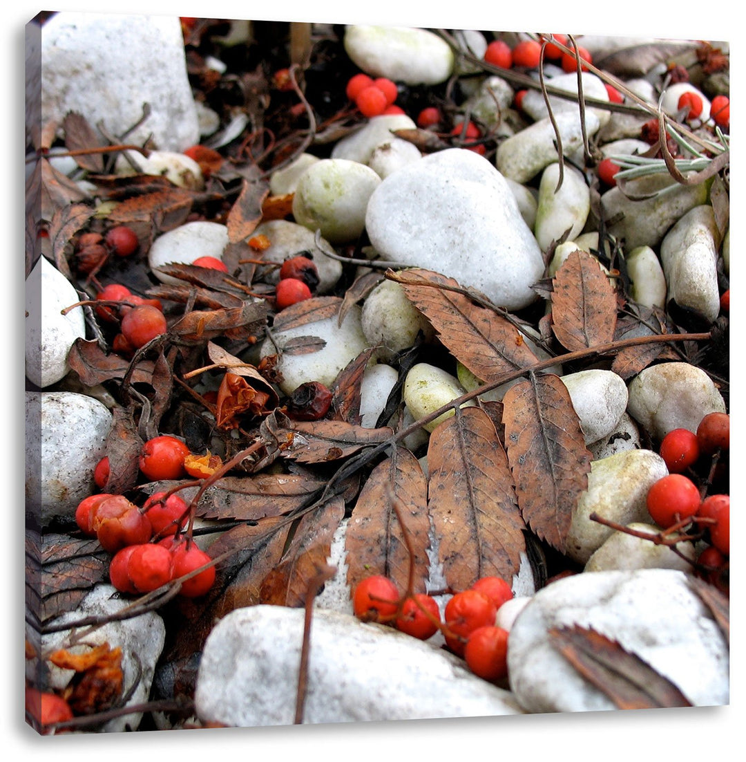 Pixxprint Herbst und Beeren als Leinwandbild Quadratisch| Grösse: 70x70 | Wandbild| Kunstdruck | fer