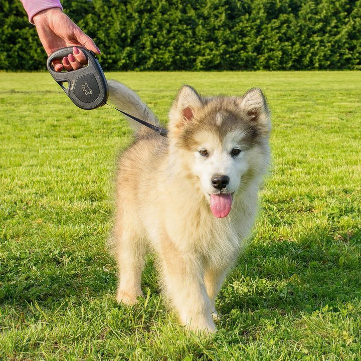 Ferplast Hundeleine Flippy ONE, Rollleine kleine Hunde bis 15 kg. Ausziehbares Gurtband max. 4 m. Ei