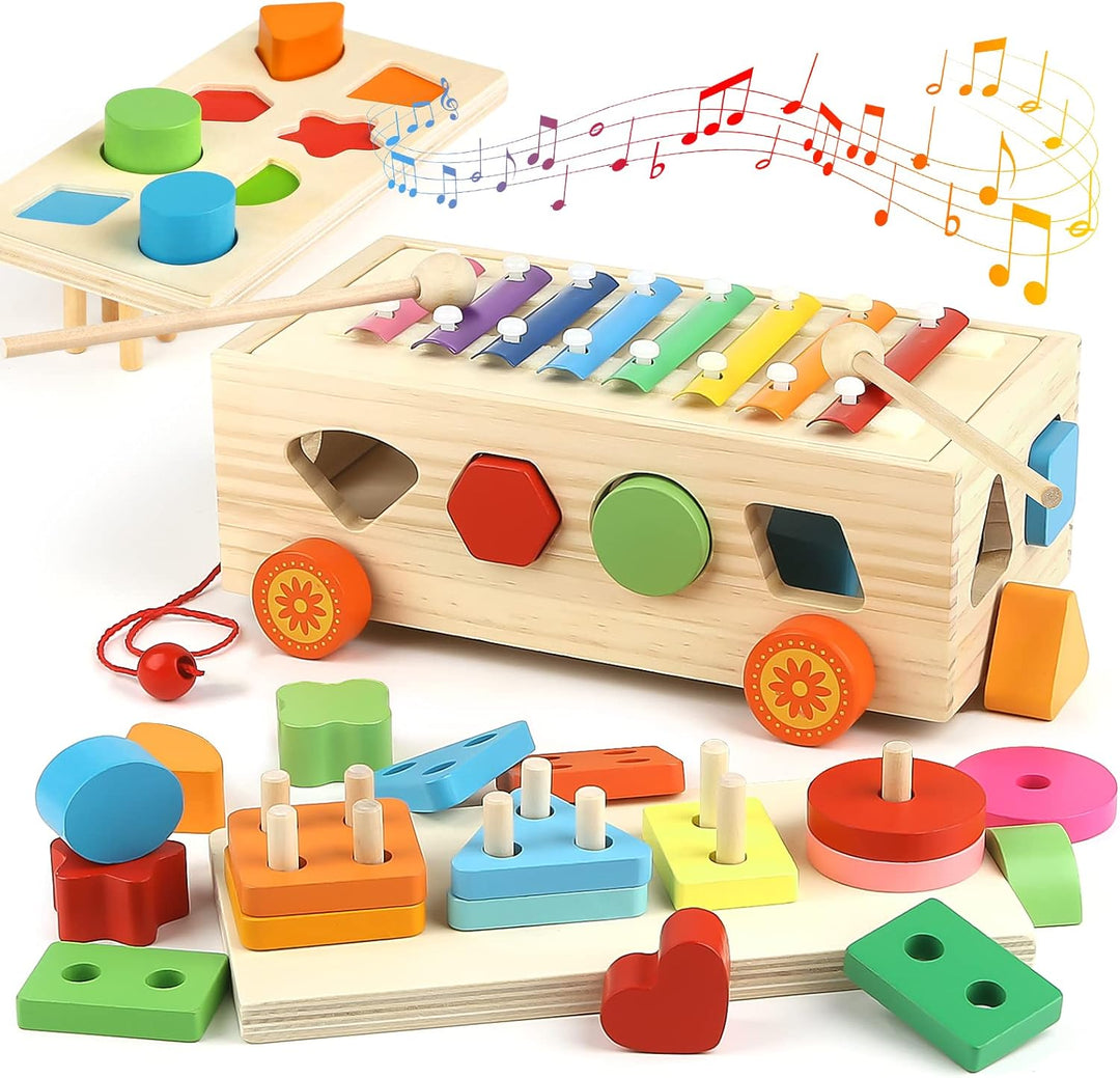 Vanplay Kinderspielzeug Montessori Spielzeug Holzspielzeug Xylophon Motorikspielzeug Bauklötze Baby