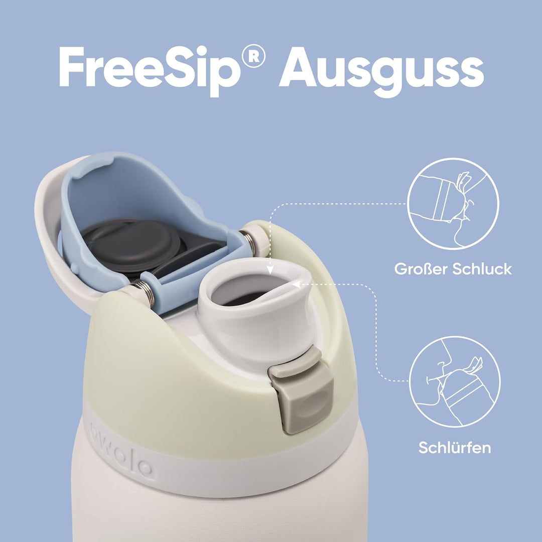 Owala FreeSip Isolierte Edelstahl Trinkflasche mit Strohhalm, 945 ml – BPA-frei, optimal für Sport,