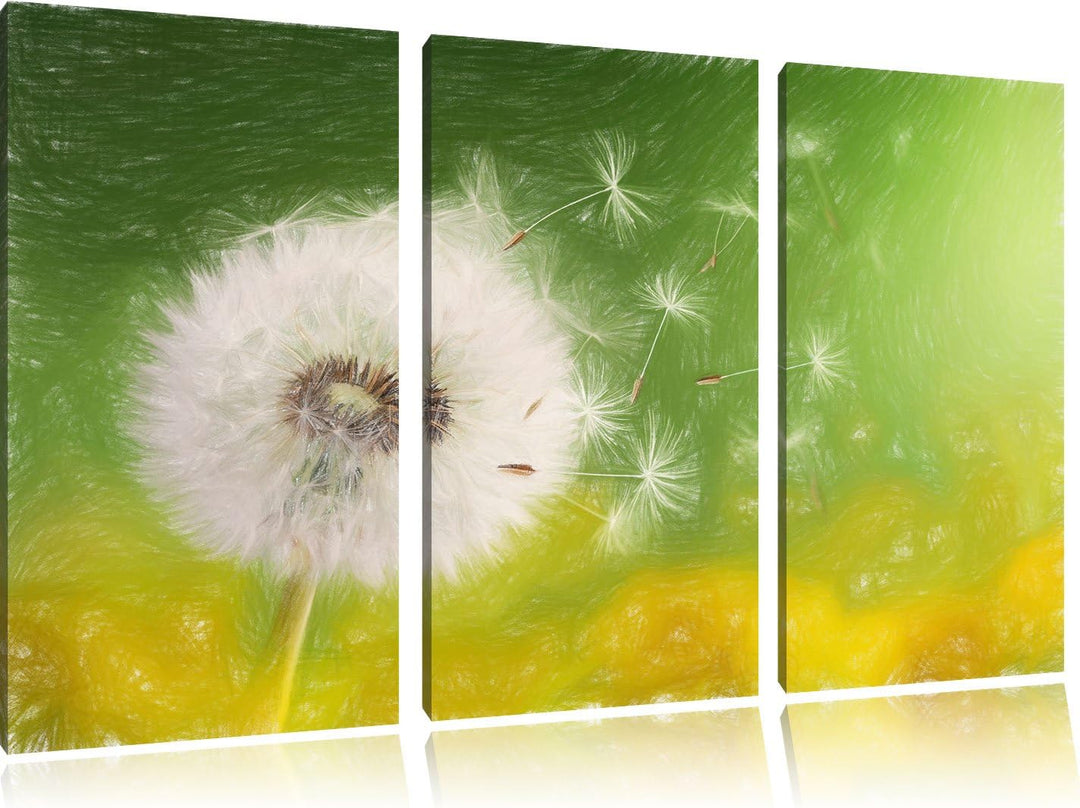 Pixxprint Löwenzahn Samen Kunst Buntstift Effekt 3-Teiler Leinwandbild 120x80 Bild auf Leinwand