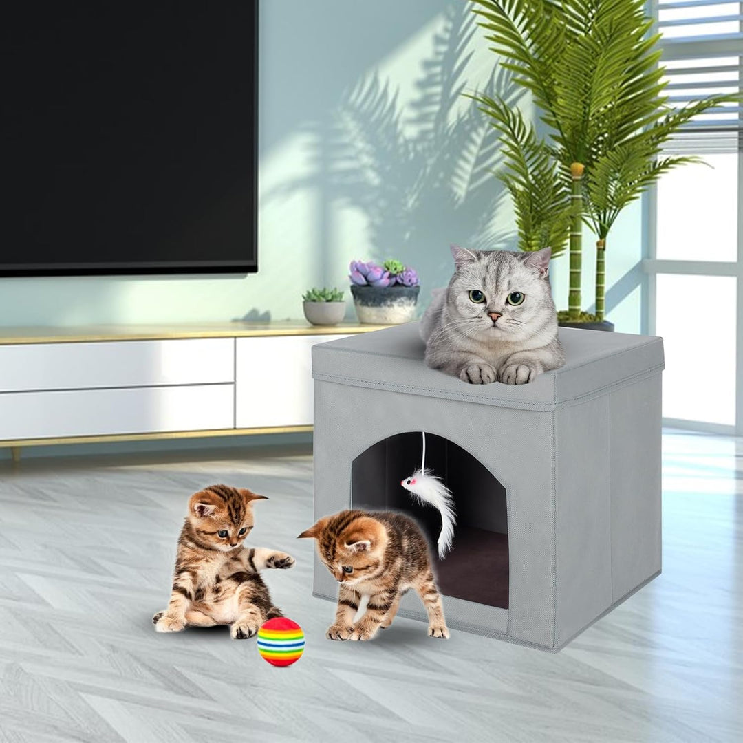 powerking Klappbares Katzenbett für Indoor-Katzen oder Kätzchen, Faltbarer Katzensitz mit Würfel und