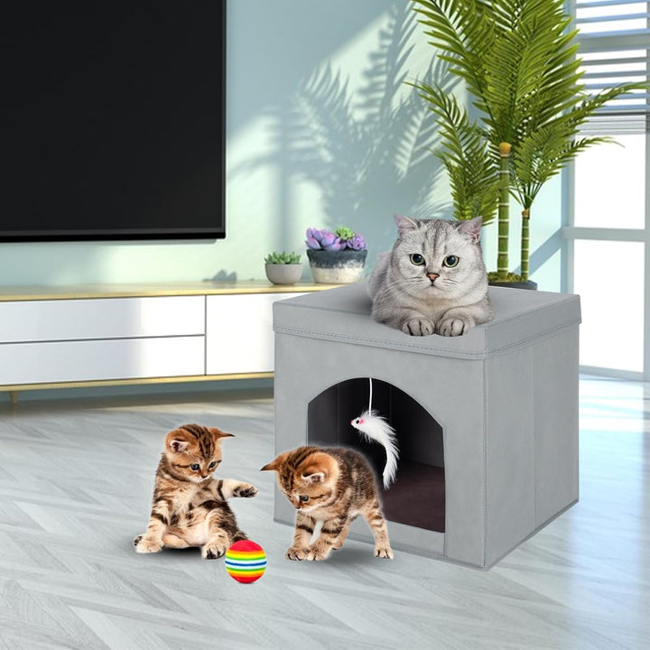 powerking Klappbares Katzenbett für Indoor-Katzen oder Kätzchen, Faltbarer Katzensitz mit Würfel und