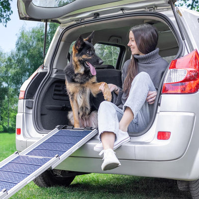 Hunderampe Auto Klappbar- Teleskop Alu Rampe für grosse Hunde - Stabile Hundetreppe Auto & SUV - rut