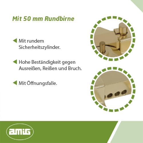 AMIG - Riegel für Türen von hoher Sicherheit, poliertes Finish in Goldfarbe, runder Zylinder von 50 