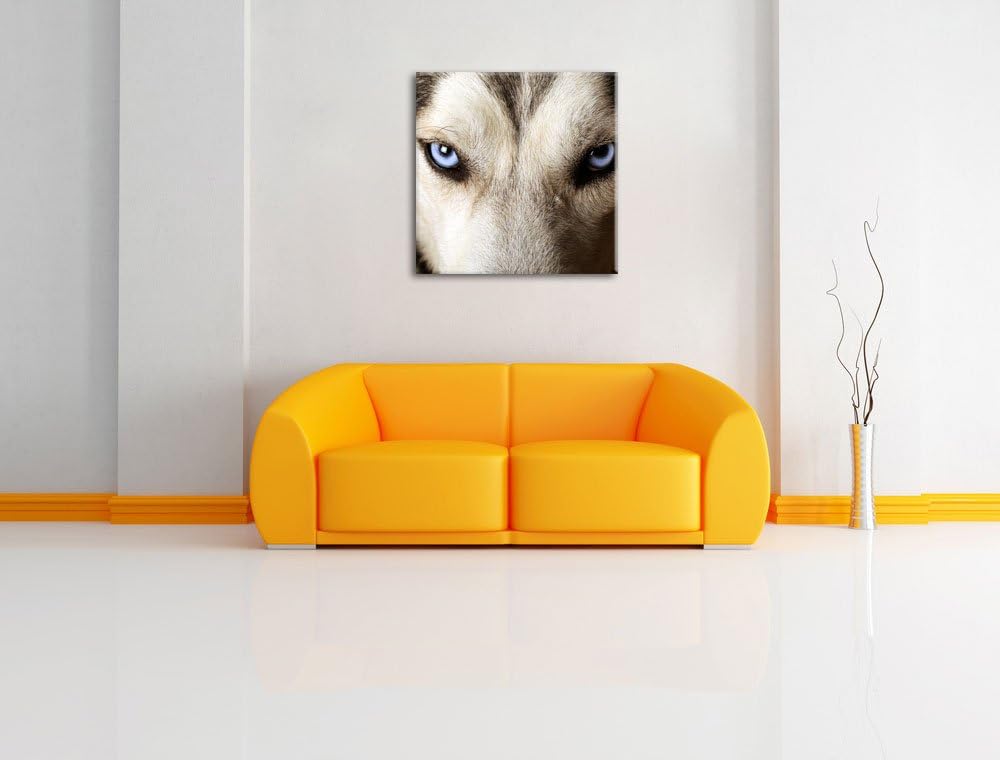 Husky eisblaue Augen, Format: 70x70 auf Leinwand, XXL riesige Bilder fertig gerahmt mit Keilrahmen,