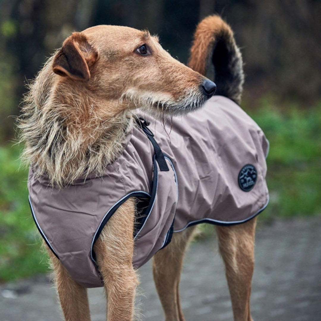 HUNTER UPPSALA Hundemantel, wasserabweisend, reflektierend, 65, taupe taupe 65, taupe 65