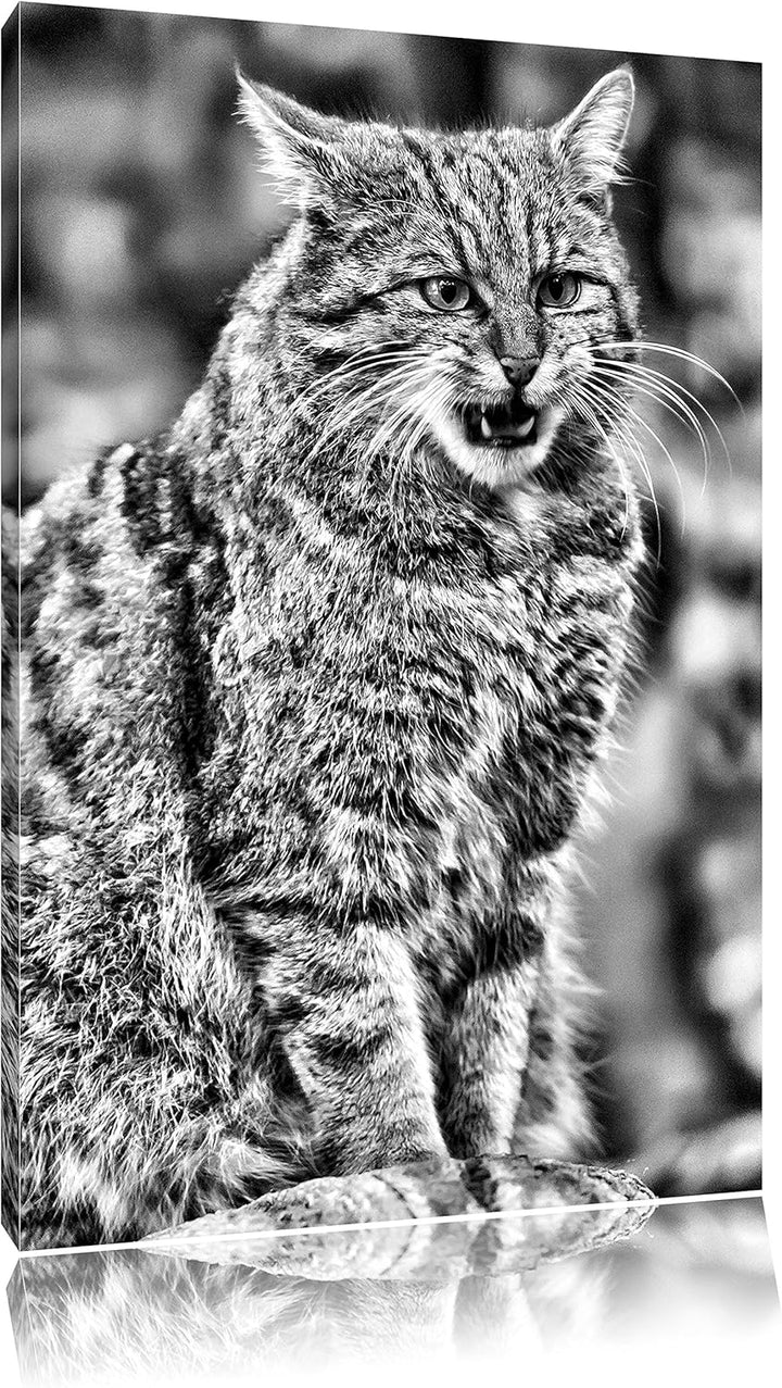 Pixxprint Manul auf Baumstamm / 100x70cm Leinwandbild bespannt auf Holzrahmen/Wandbild Kunstdruck De