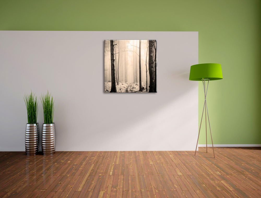Pixxprint Mystischer Wald Schwarz/Weiss, Format: 70x70 auf Leinwand, 70x70