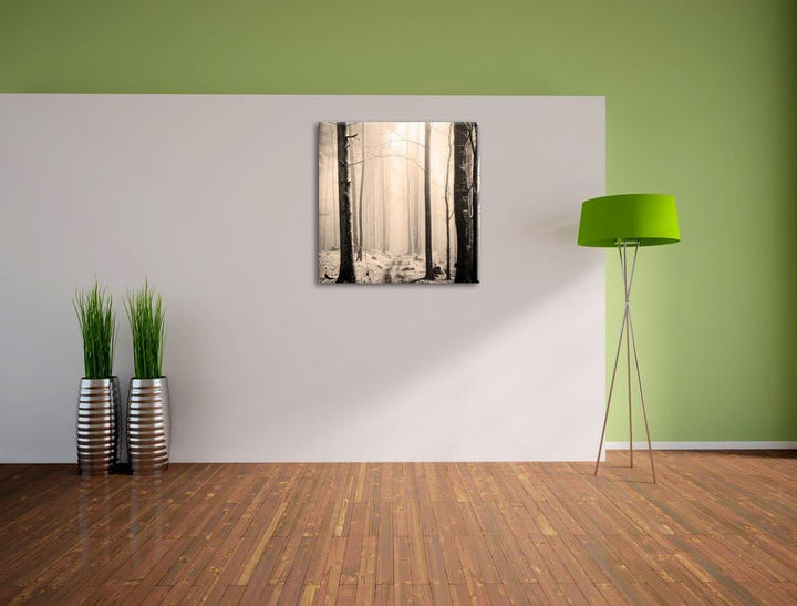 Pixxprint Mystischer Wald Schwarz/Weiss, Format: 70x70 auf Leinwand, 70x70