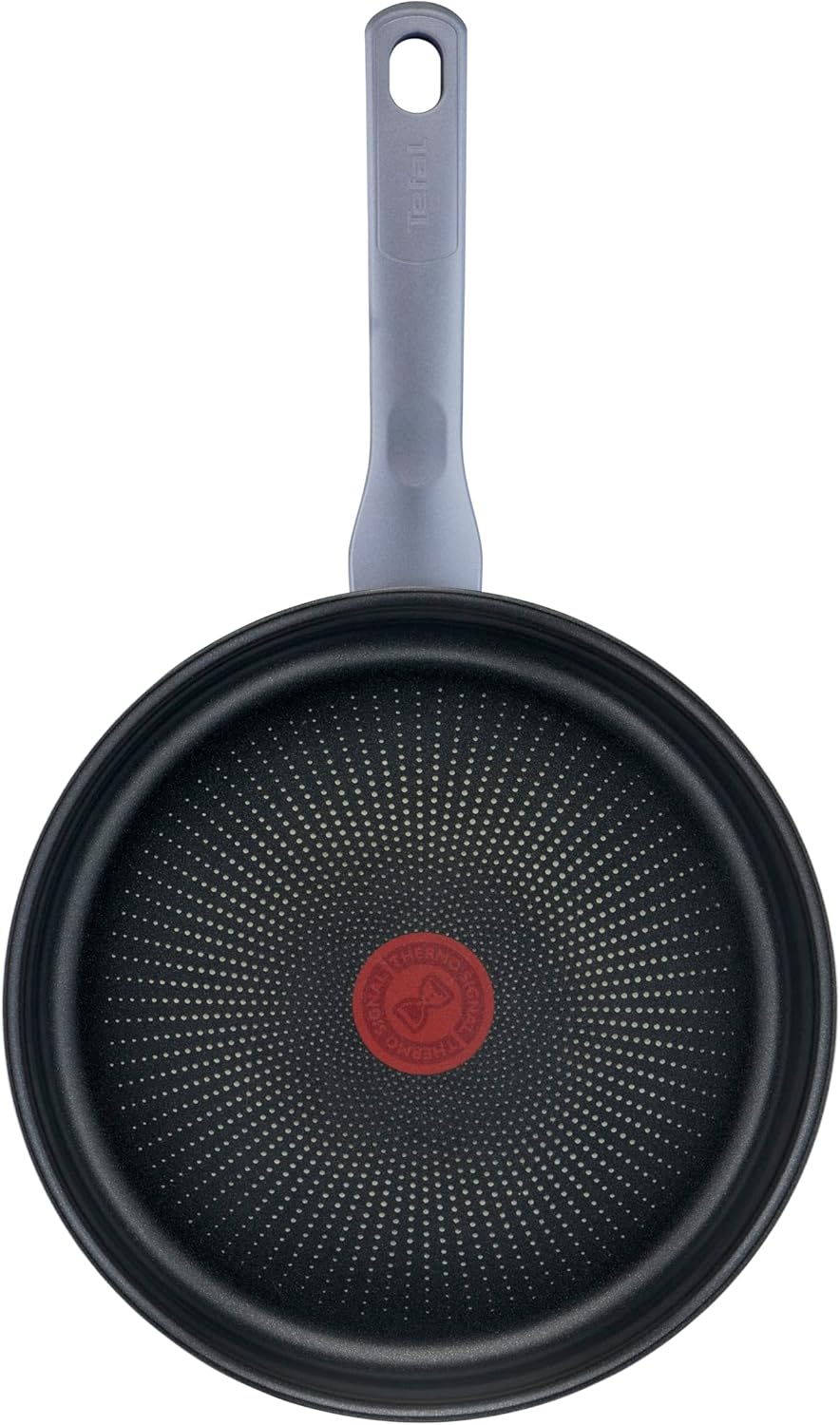 Tefal g7133214 dailycook Pfanne, Edelstahl, 24 cm, Metal, 2 43,7 x 25,6 x 10,6 cm, 43,7 x 25,6 x 10,