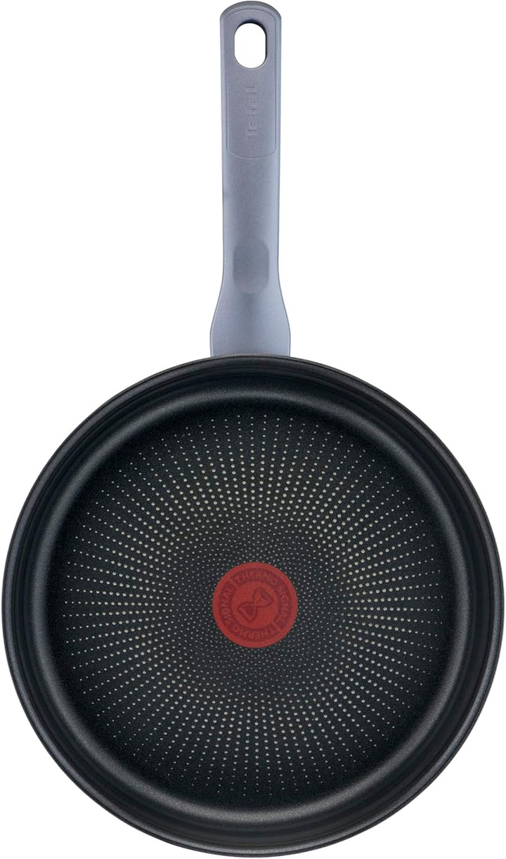 Tefal g7133214 dailycook Pfanne, Edelstahl, 24 cm, Metal, 2 43,7 x 25,6 x 10,6 cm, 43,7 x 25,6 x 10,