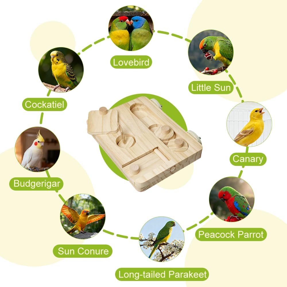 Vögel Futtersuchpuzzle Holz, Interaktives Sittiche Futterspielzeug mit Lernfunktion zum Trainieren u